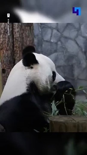 ��������� ��������� ������ ������� ������� ��� ������� ���� � ���������� ��������