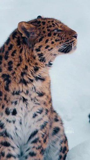 ������� �������� �������������� - � �� ������