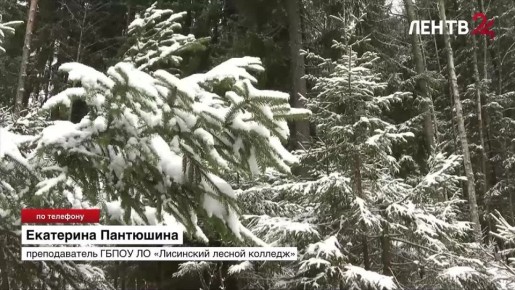 �����, ����� � ����� ����� �������� ���������?