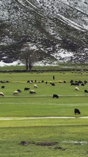 ������ �� ��������, ������� ���, ���� �� ������, ���������� ��������� �������