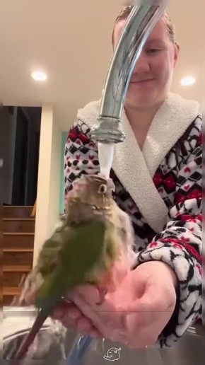 �������� ��� - �� ��� ���� ��� �������� ������ ���