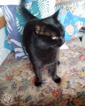 ��� ������: ������� ������ �������