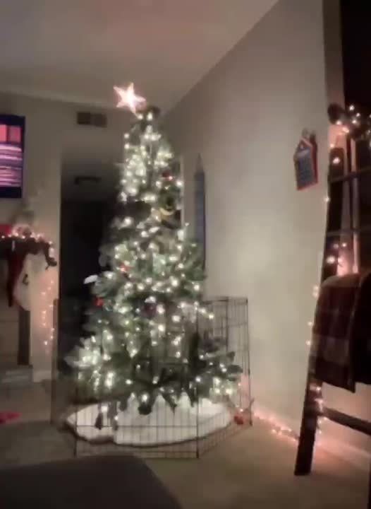 #���_���_��_���. ����� �� ���� ������ �����