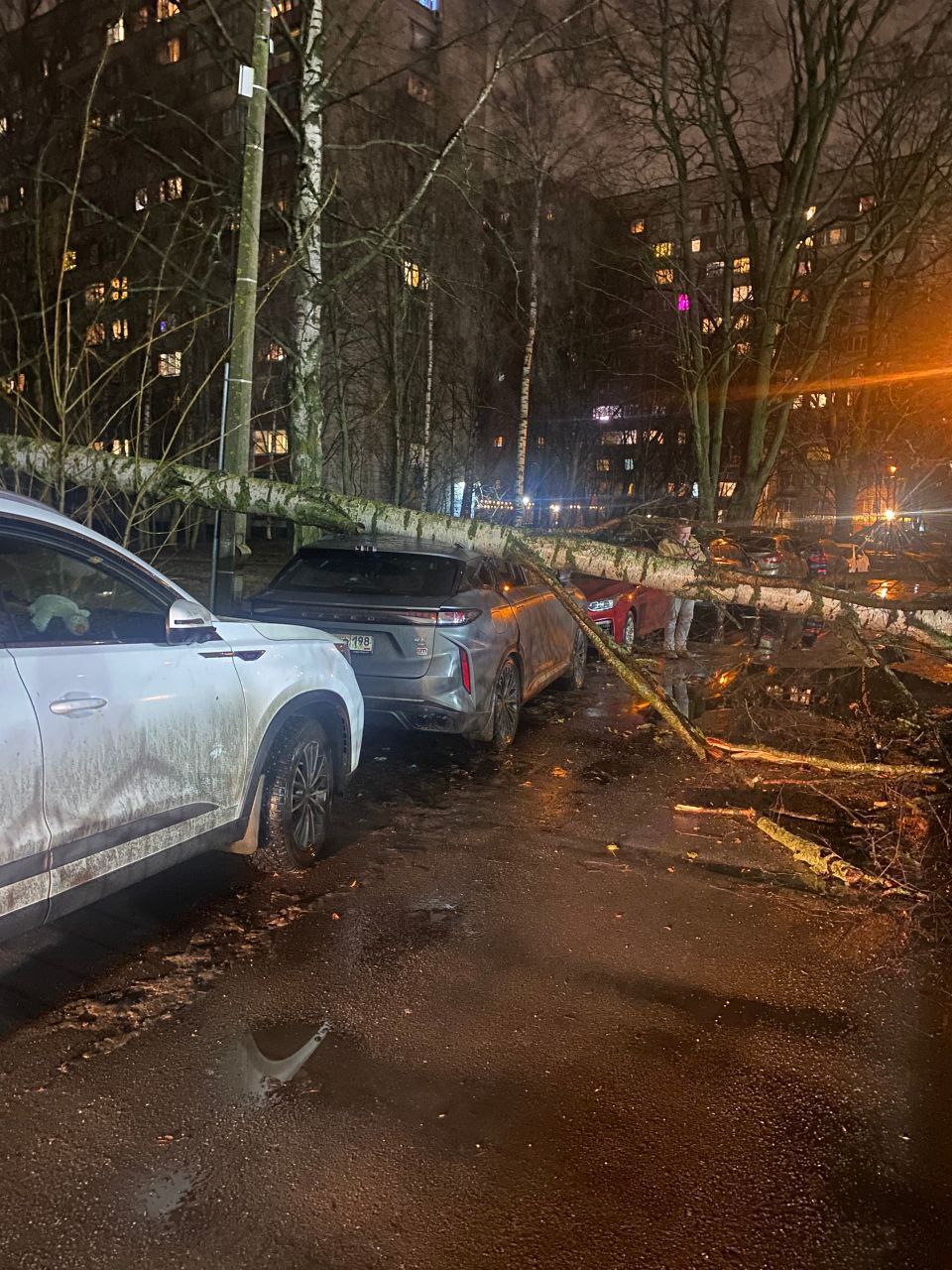 В Петербурге из-за сильного ветра буквы с таблички от ТЦ на проспекте Просвещения упали на голову прохожей В Петербурге из-за сильного ветра буквы с таблички от ТЦ на проспекте Просвещения упали на голову прохожей