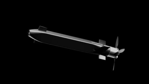 Два майора: Швеция испытает на Украине новый противодроновый БПЛА