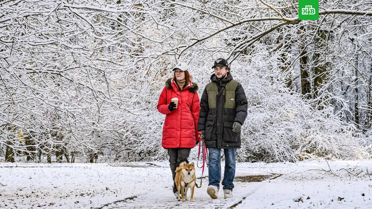Петербург ждет снежная новогодняя ночь