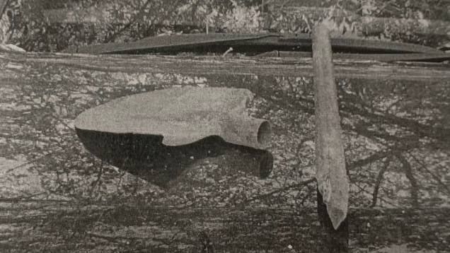 ���������� ������������� ���������� �� ���������� ����������� ����������