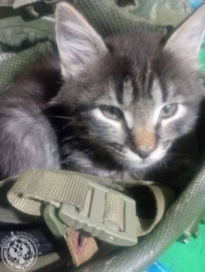 ��� ������: ������� ������ �������