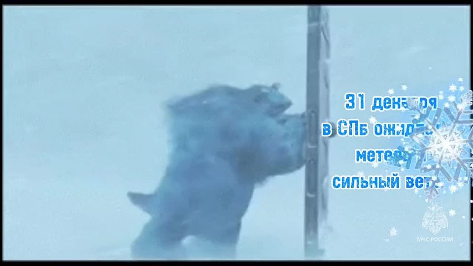 #���_���������� �������������: �� ���������� ���� "������-�������� ����", 31 ������� � �����-���������� ��������� ����, ������� �������, ������, � ���������� ������� ������� ������ ����� �� 15 �/�, �� ������� �������...