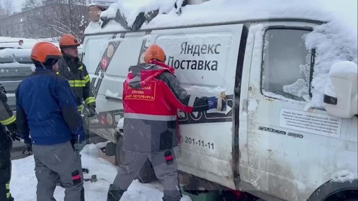 Породистых собак спасли от недобросовестного хозяина, запершего животных в фурах в Санкт-Петербурге