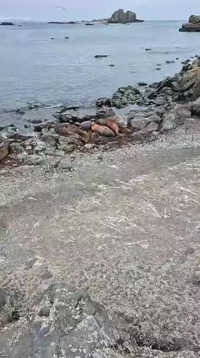 � ��� � ����� ��������� ��������� ��������� ��������� ����� 2026 ��� �������� ������ �������������� �������� Ը��� �������