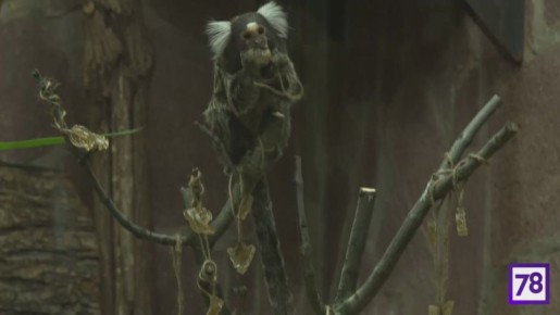 � ������� ������� �������� ��������� ��������