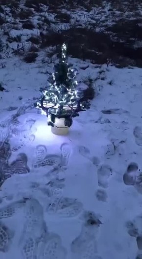 ���� � ��� �� ����� ���������� ����, ���� �� �����������