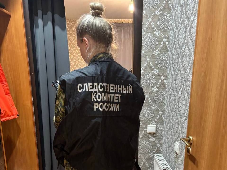 В Гатчинском районе мужчина подозревается в убийстве сожительницы