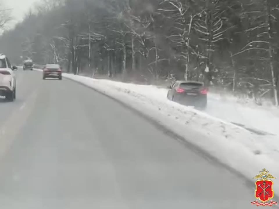 Сотрудники Госавтоинспекции привлекли к административной ответственности даму за рулем авто за грубое нарушение ПДД в Приморском районе