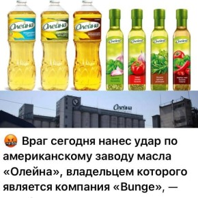 Юлия Витязева: Нет предела русскому коварству!