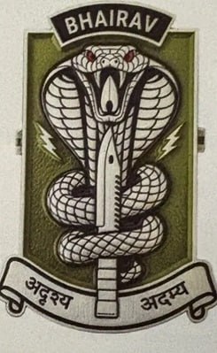 Сообщают, что индийская армия в 2025 г. сформировала уже 15 батальонов легкого спецназа нового типа "Bhairav" и планирует увеличить их количество до 25. Батальоны развернуты на границах с Пакистаном и Китаем Сообщают, что индийская армия в 2025 г. сформировала уже 15 батальонов легкого спецназа нового типа "Bhairav" и планирует увеличить их количество до 25. Батальоны развернуты на границах с Пакистаном и Китаем