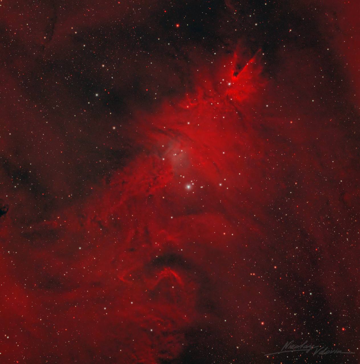 Туманность «Рождественская ёлка»