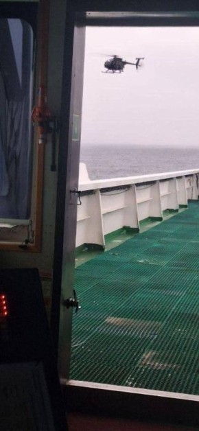 ������ ������: ����, ���������� ������ ���� �� ������� ������������ ���������