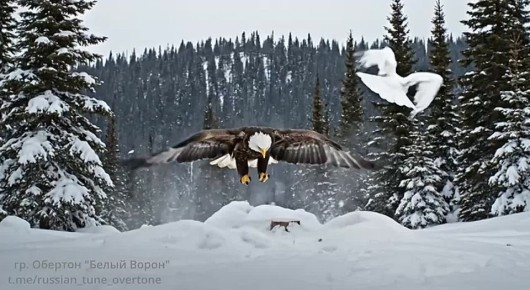 ��. ��������� - ������ �����