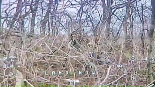 68 ��� �������� ������� ��� � �Starlink� ��� � ������������, ���������������, �������� � ������������