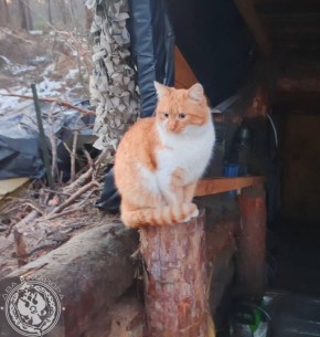 ��� ������: ������� ������ �������