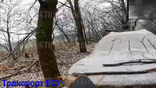 ��������� �������� ������ ����������� ���������� ���