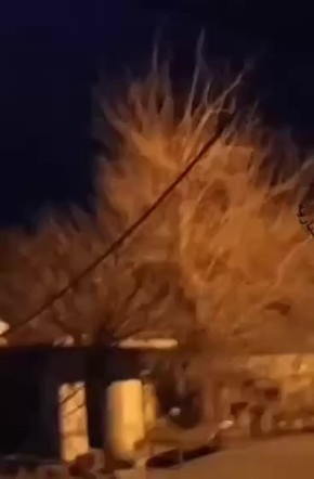 ������� ������� �������� �� ��������� ���� ������������ ������� � ������, ����� ����� ��������� �������� �������