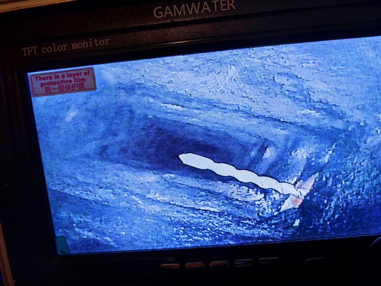 Волонтеры пытаются вызволить кота из дымохода в центре Петербурга — пушистый сидит там уже больше недели Волонтеры пытаются вызволить кота из дымохода в центре Петербурга — пушистый сидит там уже больше недели