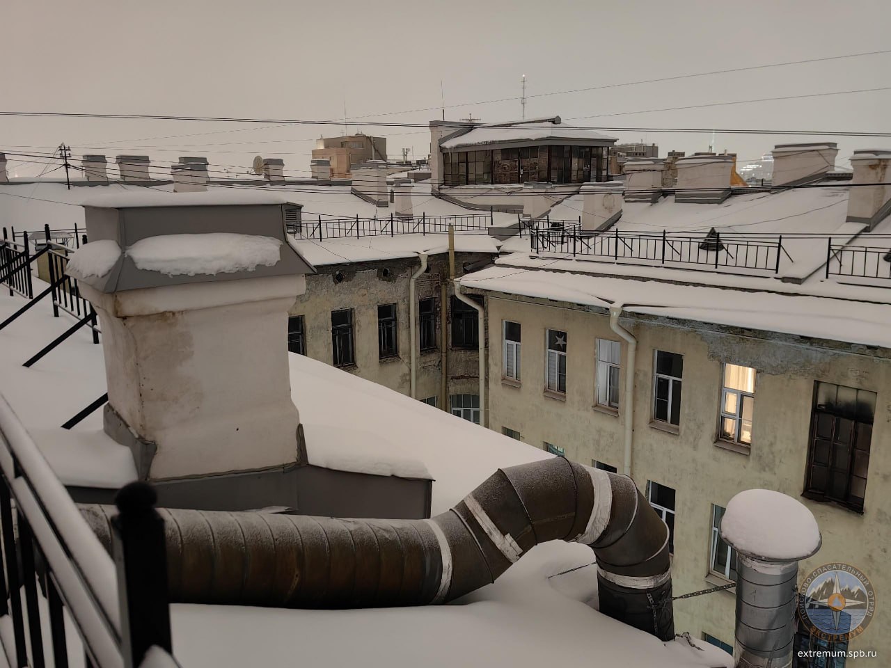 Волонтеры пытаются вызволить кота из дымохода в центре Петербурга — пушистый сидит там уже больше недели Волонтеры пытаются вызволить кота из дымохода в центре Петербурга — пушистый сидит там уже больше недели