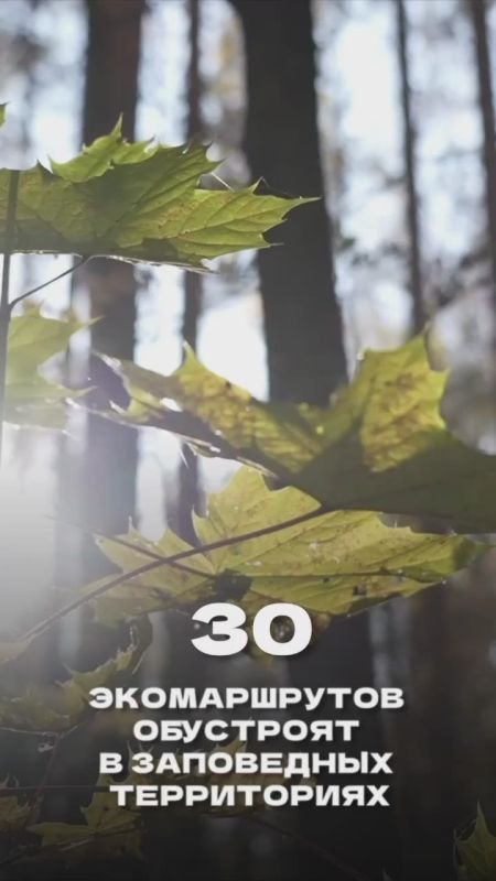 ��������� ������: � 2025 ���� �� ������� 63 ������������ ������������ � �� ��������� ������� � ������������ ��������� �� ����������� �������� � ������ ������� ������