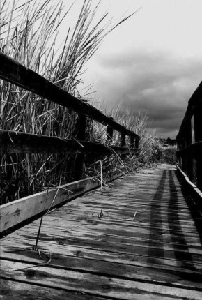 ���� ����: ����� ��������� � ����� � ������, ����� ���� ������� �������, � ����� �����