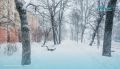 Завтра, 10 января, ожидается ухудшение погоды, Петербург накроет метель