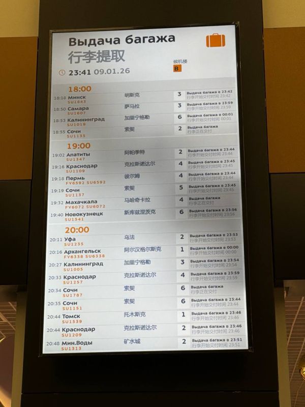 Марат Баширов: То есть, задержка с выдачей багажа в Шереметьево несколько часов