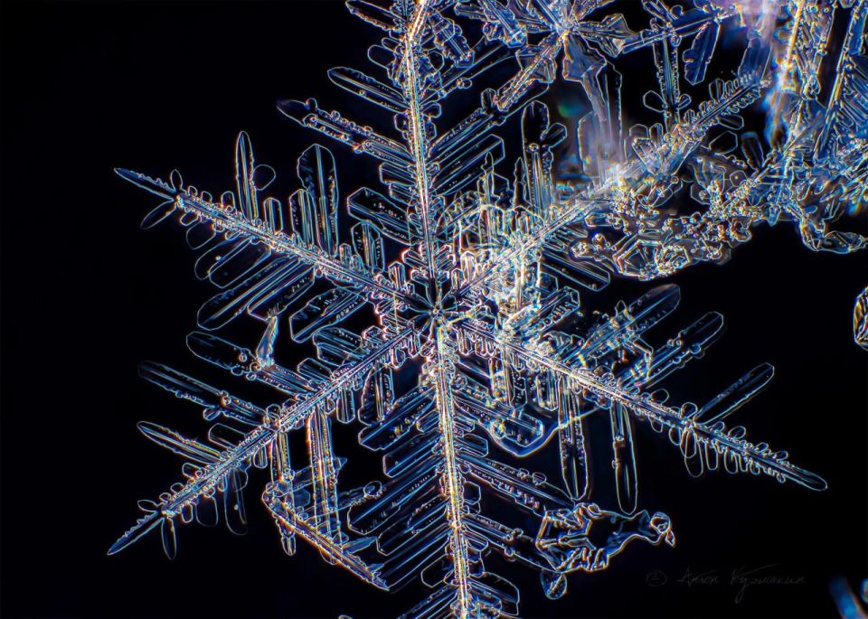 ��������� ����� �� ������� ������� ������ �������� �������� ������� � 23 ��