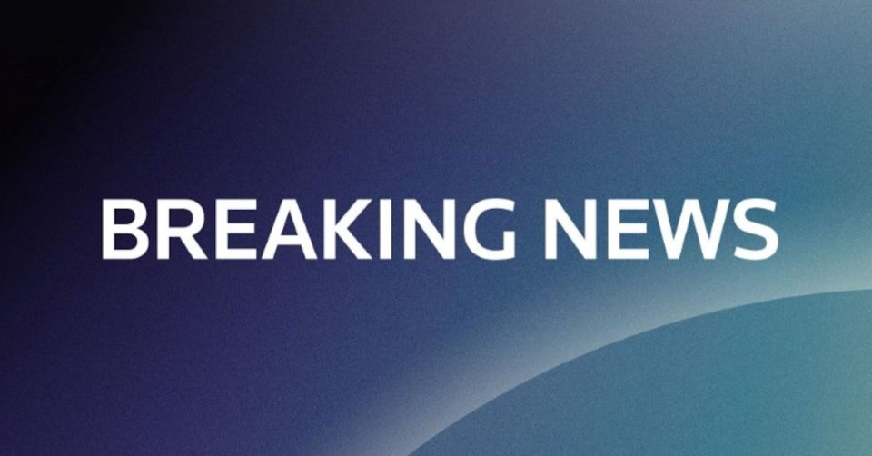 ��� ������: ��� ������ �������� �� ���������� ������� Olina � ��������� ��������, � Reuters