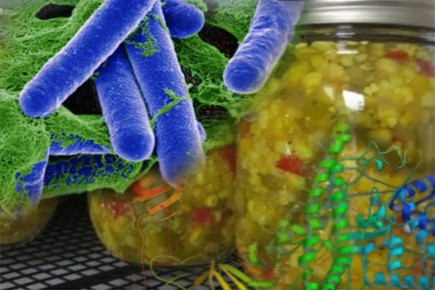 Еженедельная авторская колонка;