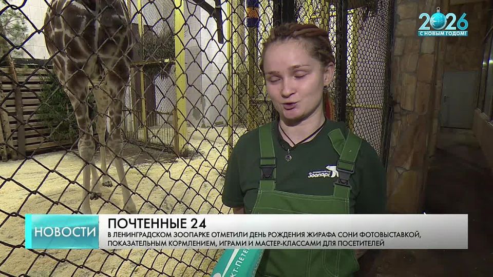 ��������� ������� � ������������� ��������: ������� ������ ���� ����������� 24 ����