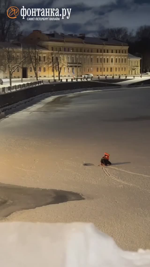 Чайку с переломанным крылом спасли со льда Фонтанки накануне