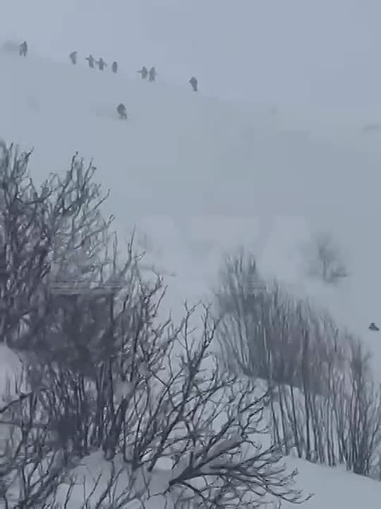 ��� �� ��������� ���������: