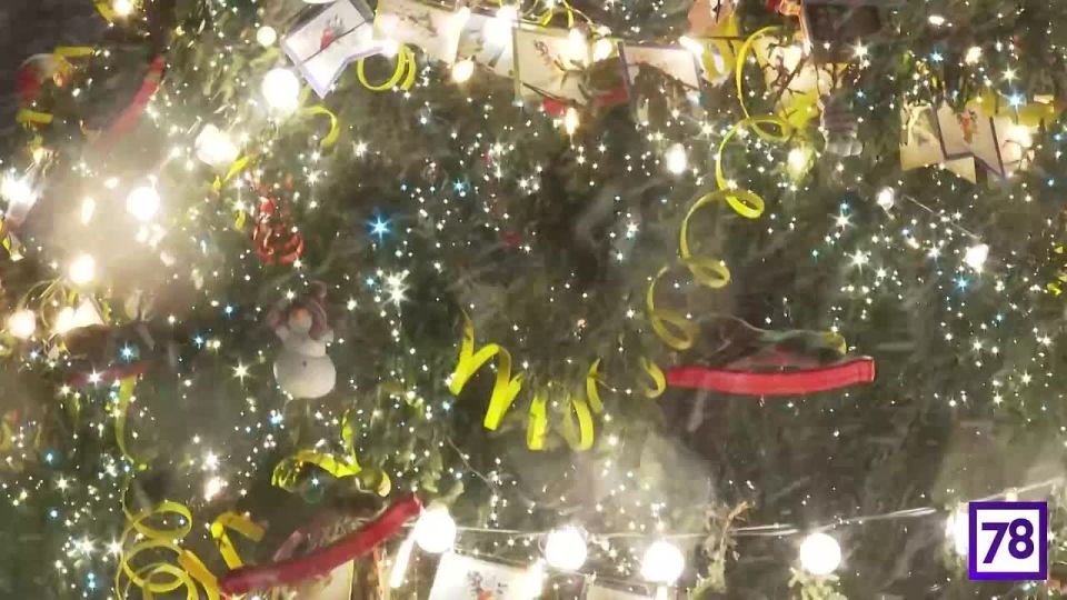 � ������� ��� ������ ������: ����� ������ �������� �� ��������� ������������ �����