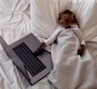 ����� �������: � �� ����� � ��������� ��� ����������