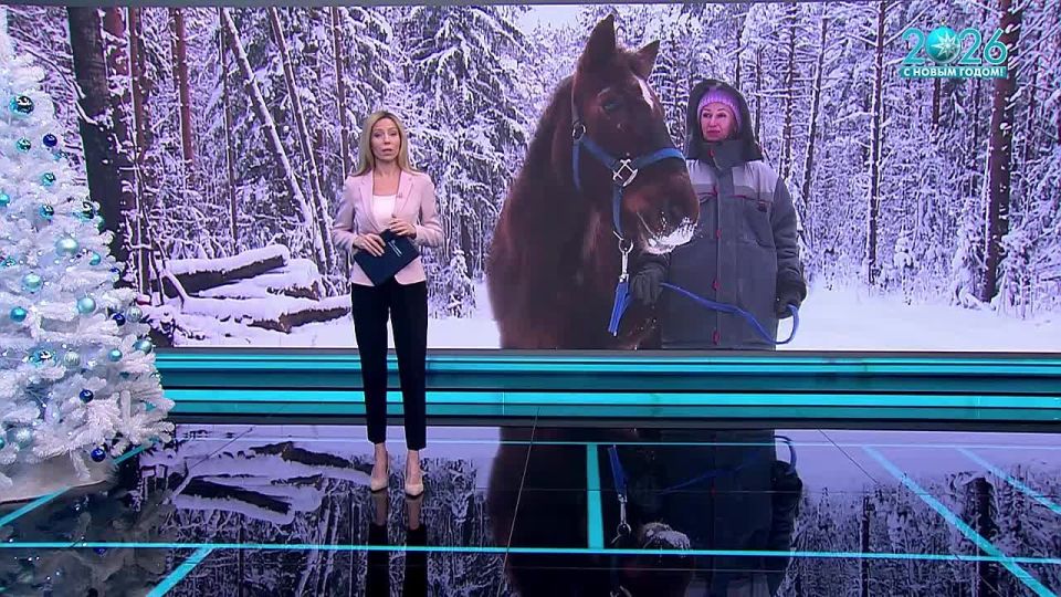 ������������� ����������� �������� � ���������� ������� ������ �� ����������