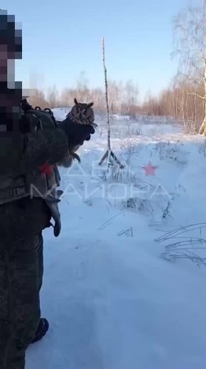 Два майора: Брянский участок фронта. Наши запускают биологический дрон "Пернатый-1" по противнику