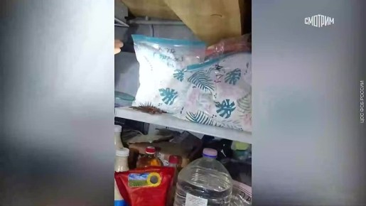 ���� ��������: ������, ��������������� ������, ������������� �� ��������������� ����� � �������� ����, �������� � ���