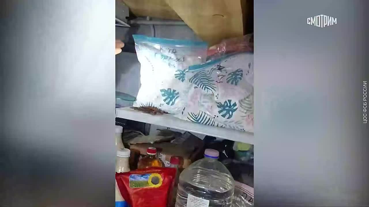 Юлия Витязева: Теракт, планировавшийся Киевом, предотвратили на железнодорожном мосту в Пермском крае, сообщили в ФСБ