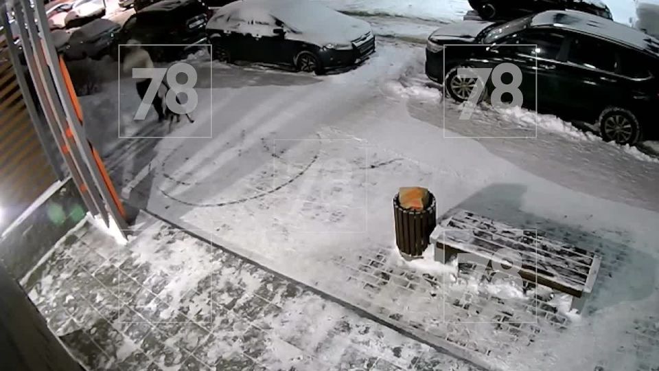 ������ ���� �� ������������ �������� ������ ������, ����������� �� �����