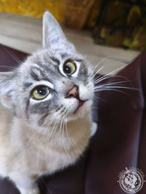 ��� ������: Рубрика «Будни солдата»