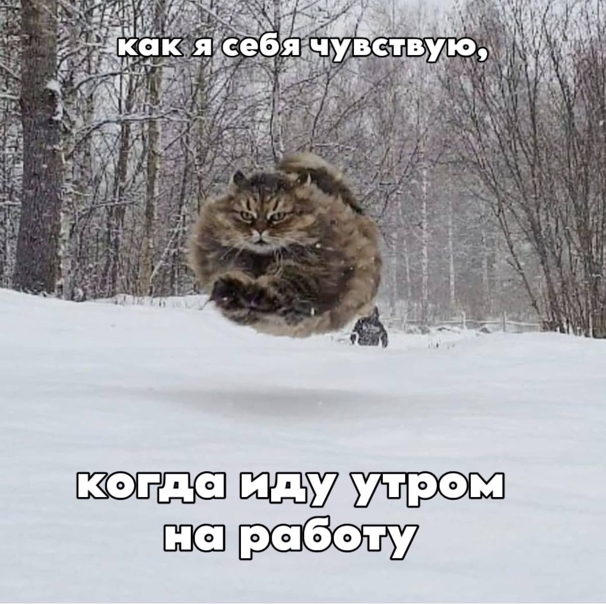 «Отрицательная температурная аномалия» продолжится в Петербурге и сегодня, пишет синоптик Михаил Леус