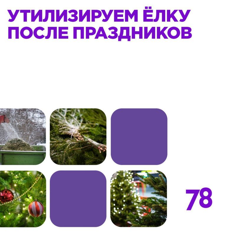 ����������� ��� ������� ������� ���� �� � �����, � �� �����������